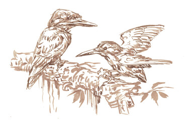 Fototapeta premium hand drawn illustration of a bird coffee painting for card illustration background decoration
