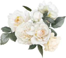 Tuinposter White roses isolated on a transparent background. Png file.  Floral arrangement, bouquet of garden flowers. Can be used for invitations, greeting, wedding card. © RinaM