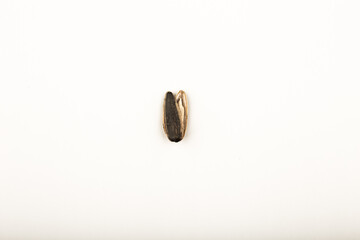 sunflower seed on white background