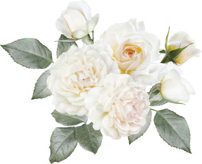 White roses isolated on a transparent background. Png file.  Floral arrangement, bouquet of garden...