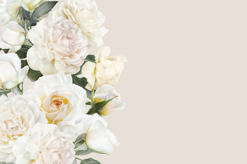 Obraz na płótnie Canvas Floral banner, header with copy space. White roses isolated on pastel background. Natural flowers wallpaper or greeting card.