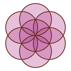 神聖幾何学シードオブライフ、重なり合う円の花模様
