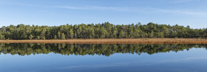 River and natural salomon area in autumn. Farnebofjarden national park in north of Sweden.