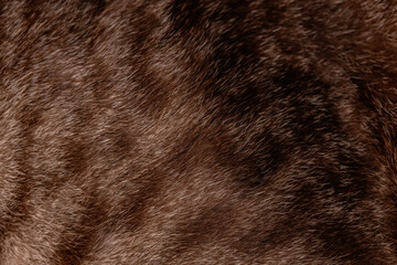 Brown soft fur for background.