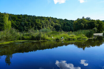 Fototapeta na wymiar Landscape at the Fulda. Nature by the river. 