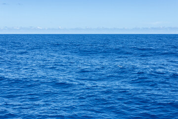Fototapeta na wymiar Blue sea and the sky