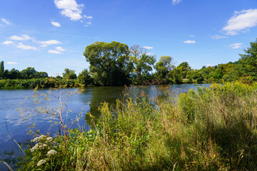 Nature at the Fulda. landscape by the river.
