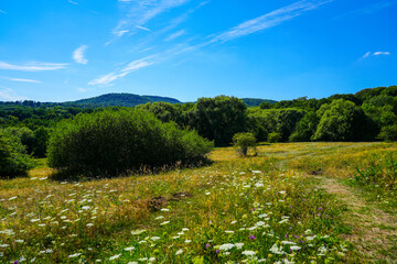 Landscape at the Dönche nature reserve near Kassel. Nature with hills and meadows.
