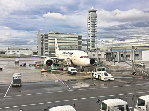 Jal の画像 2 610 件の Stock 写真 ベクターおよびビデオ Adobe Stock