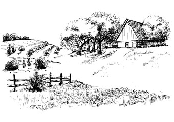 Green grass field on small hills. Meadow, alkali, lye, grassland, pommel, lea, pasturage, farm. Rural scenery landscape panorama of countryside pastures. Vector sketch illustration
