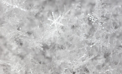 Fototapeta premium White snowflakes in winter as a background.