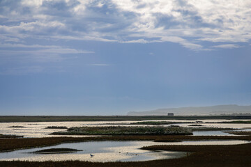Autumn dawn at Eridge Rocks on the High Weald East Sussex south east England