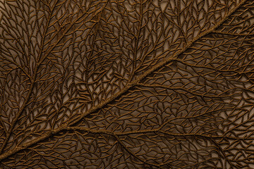 abstract background leaf surface plastic plant
