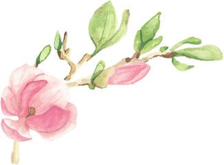 Naklejka na ściany i meble watercolor pink blooming magnolia flower and branch bouquet