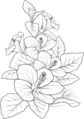 Black and white outline vector coloring book page for adults and children flowers hibiscus with leaves 
buds hand drawn flowers, isolate on white background ink illustration design color book.
