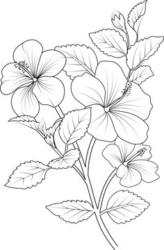 Flowers branch of hibiscus flower Hand drawing  vector illustration Vintage design elements bouquet floral natural collection.

