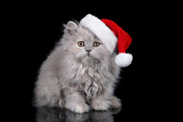 Little funny kitten in a cap of Santa Claus