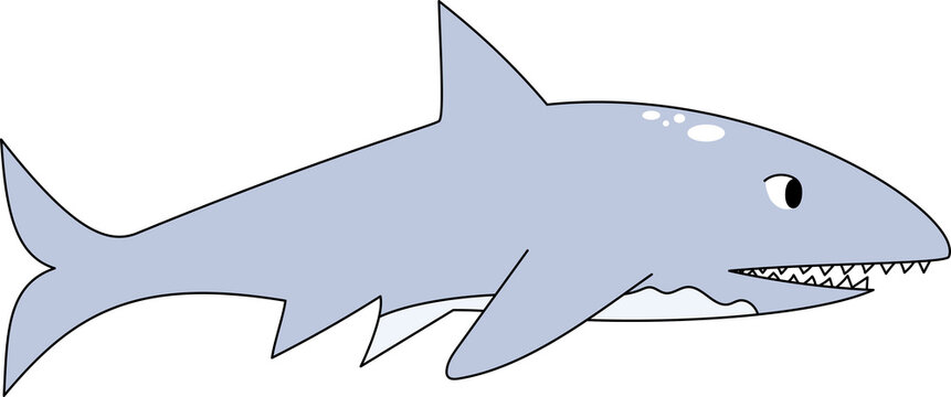 shark under the sea ocean fish animal clipart