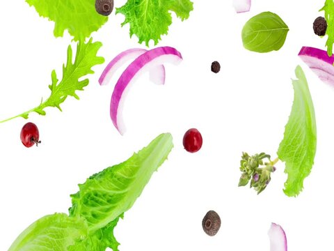 Flying food ingredients on a white background. Flying mix of peppers, lettuce, purple onions, thyme, rosemary, mustard