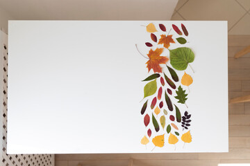 A workplace for crafts with children has been prepared. Autumn dried colorful leaves are laid on the table. The room is well lit. 