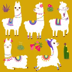 Foto auf Alu-Dibond Cute llama or alpaca animals with cactus and colorful traditional accessories.  Vector illustration © stockakia