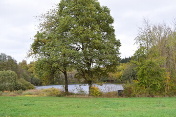 Holzmaar,