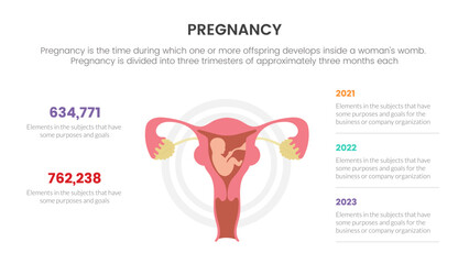 pregnancy infographic concept for slide presentation with 3 point list data information with ovarium and baby pregnant