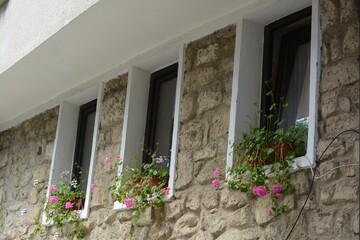 Fototapeta na wymiar Exterior of beautiful residential building with small windows and flowers in pots
