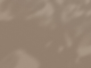 Abstract background cement wall organic shadow light concept backdrop. 3d rendering.