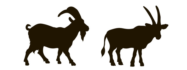 Vector image, goat. Isolated on a white background. 
Black and white illustration.
