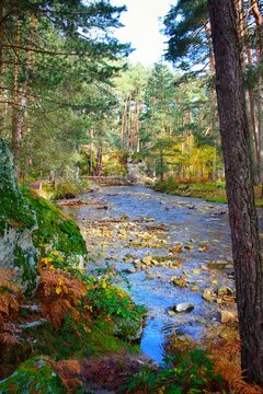View of the Eresma River as it passes through the area of Boca del Asno, Segovia, Spain.