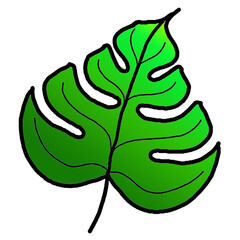 green leaf isolated on white