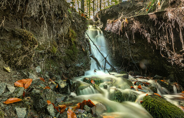 Yedigoller was taken under protection in 1965. It consists of 7 lakes, which are formed as a result...