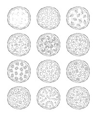 Set of line art pizza isolated on white background