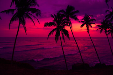 Coconut palm trees silhouettes on tropical ocean beach at vivid pink colorful sunset - 541416686