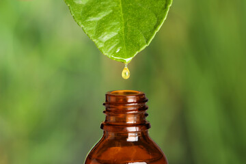 Dripping essential oil from leaf into bottle against blurred background, closeup