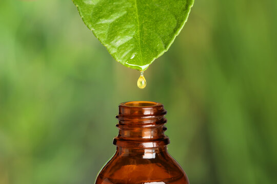 Dripping essential oil from leaf into bottle against blurred background, closeup