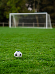 Classic soccer of football ball on the dark green grass field in focus. Goal post out of focus in the background. World wide popular sport activity. - obrazy, fototapety, plakaty