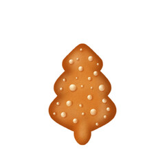 gingerbread cookie isolated on white