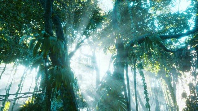 morning light in beautiful jungle garden