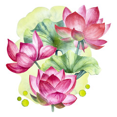 Hand drawn bouquet of lotus flowers, leaves, buds and seeds with drops and watercolor background isolated.