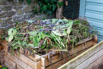 Rotting heap of vegetation garden waste to be recycled in the spring as compost and mulch for the...