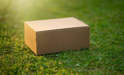 A folding box for parcels on the green grass. Self-assembled crab box.Corrugated cardboard...