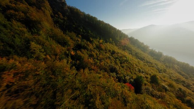 FPV gliding over breathtaking, colorful forest, ascending over medieval Aggstein before diving down into the wachau valley.