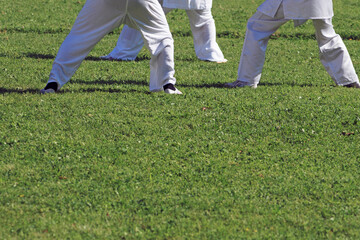 Obraz premium Low section of people practicing Tai Chi on lawn