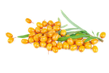 Sea-buckthorn berries and some leaves isolated on white background