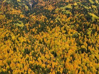 Autumn time in Bulgaria, mountains, Drone view