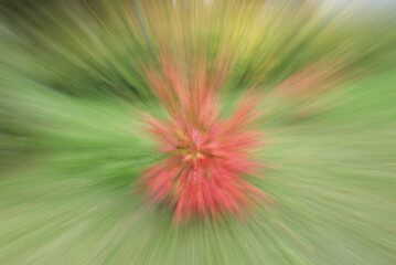 Abstract blurred red green background