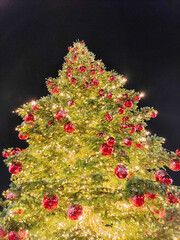 close-up from below of a giant Christmas tree illuminated on the street at night