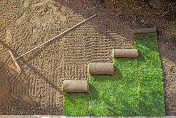 Roll of fresh sod grass planted on a newly landscaped lawn